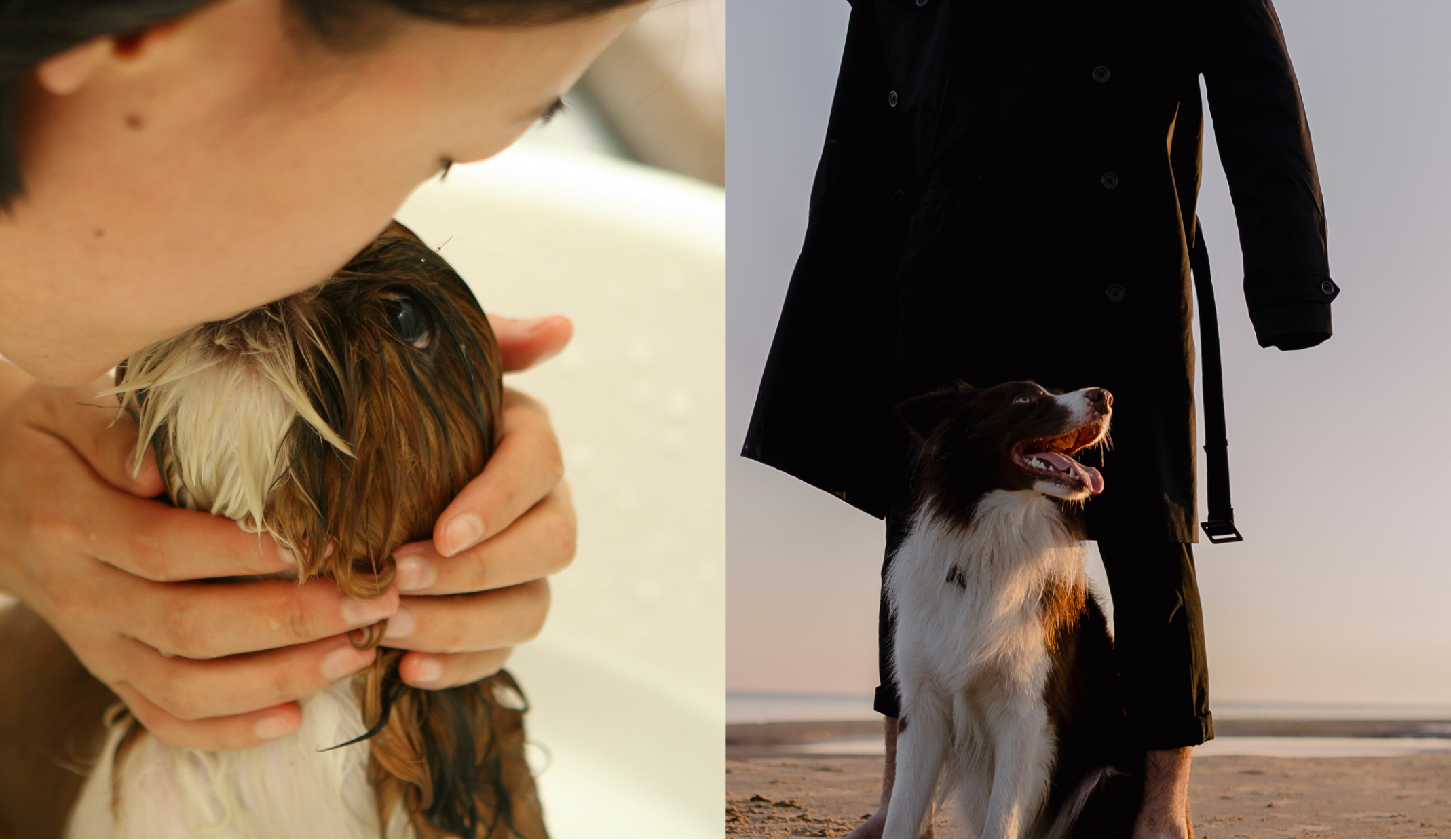Frau und Mann mit Hund 