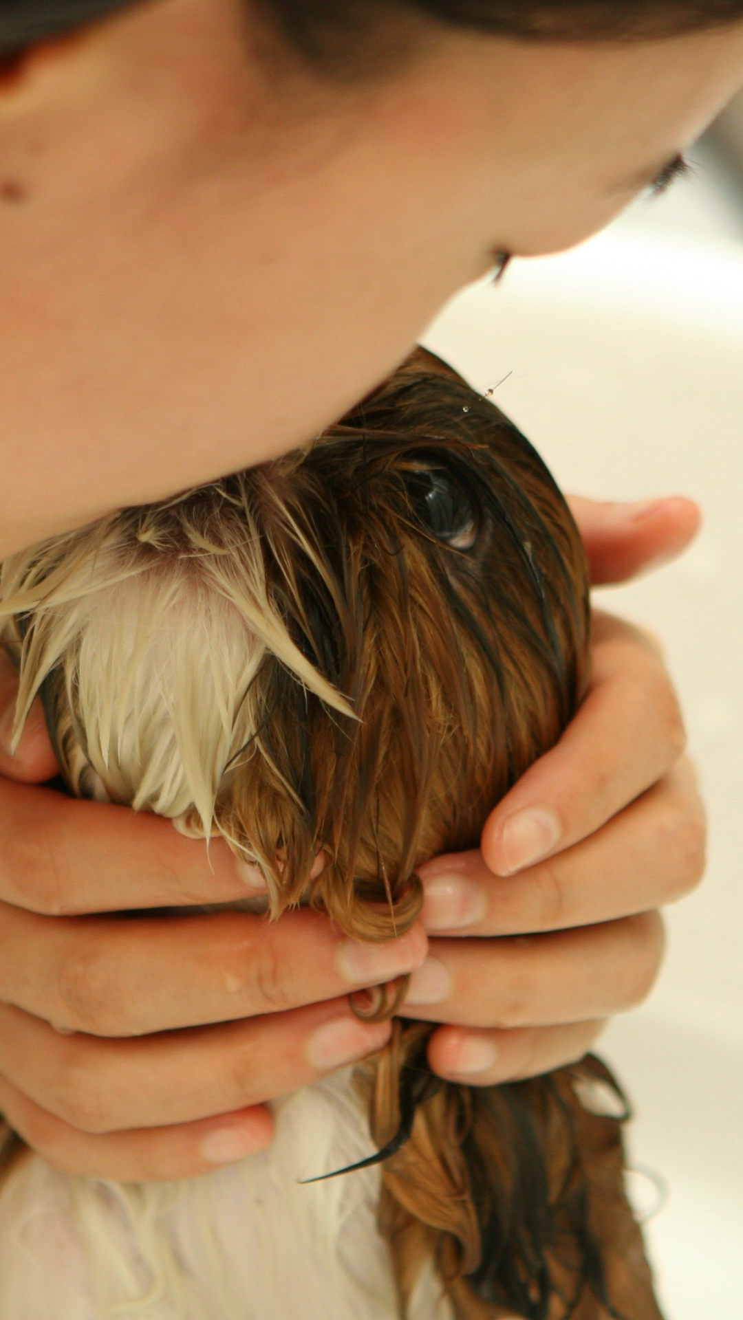 Frau mit Hund 