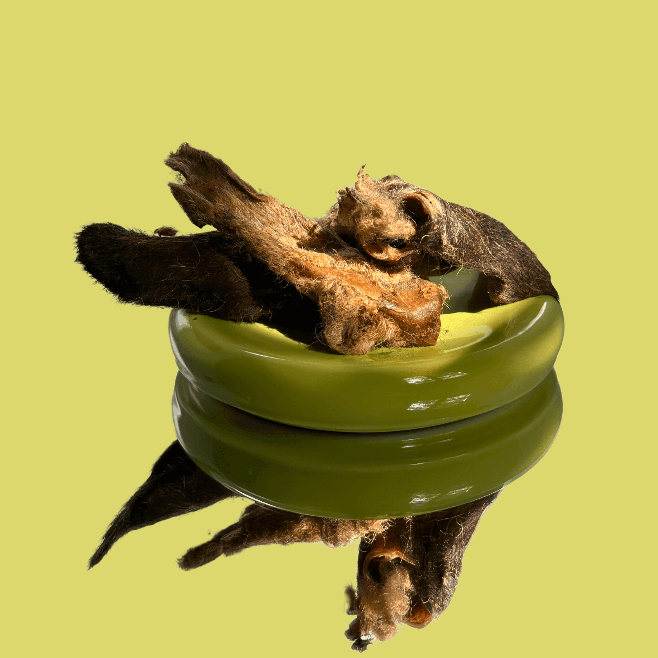 Lammohren mit Fell – natürliche Kausnacks für Hunde, ideal für langfristigen Kauspaß von Kau-Bar.